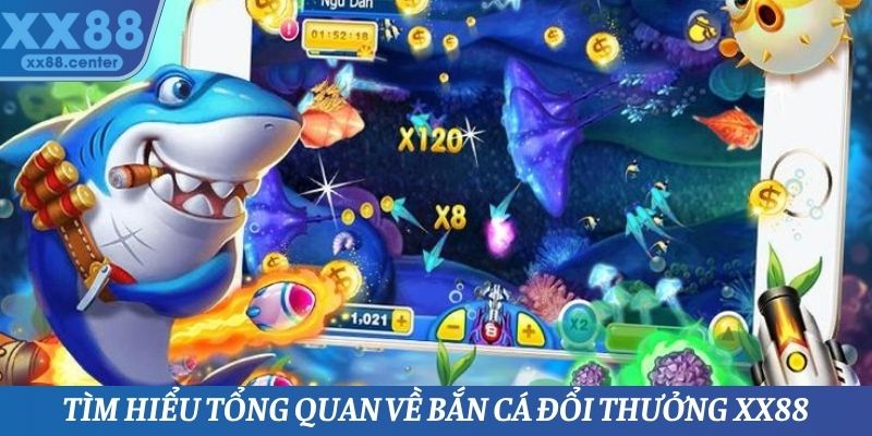 Một số thông tin cơ bản cần nắm được về sảnh bắn cá đổi thưởng XX88